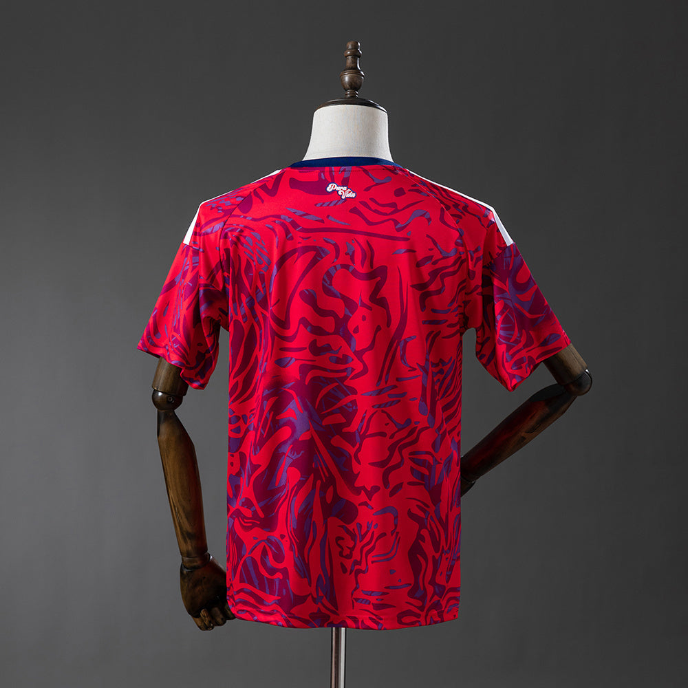 Costa Rica WK 2026 Thuisshirt