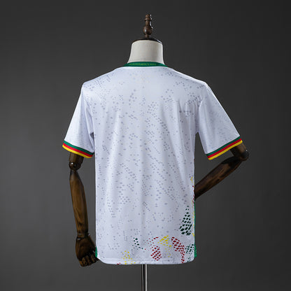 Kameroen WK 2026 Uitshirt