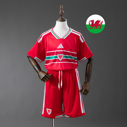 Wales WK 2026 Thuistenue