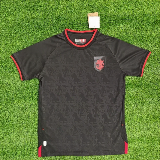 25/26 Albanië Away Jersey